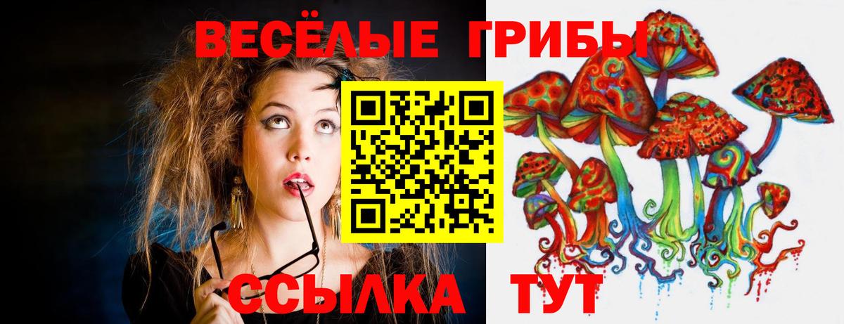 Галлюциногенные грибы GOLDEN TEACHER Муравленко