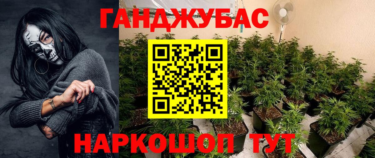 Канабис конопля Муравленко
